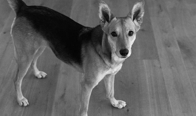 fotostudio münchen fotograf coach führungskräfte seminar